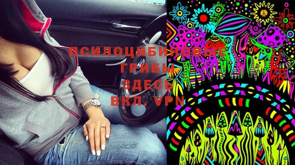 скорость Липки