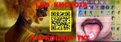 крисы Нальчик