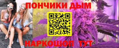 крисы Нальчик