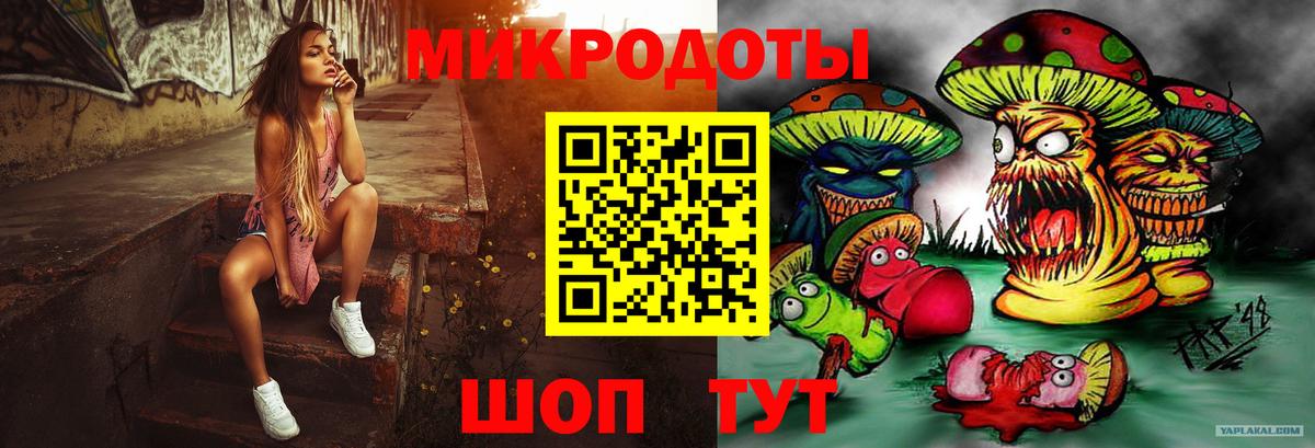 Галлюциногенные грибы Psilocybe Смоленск